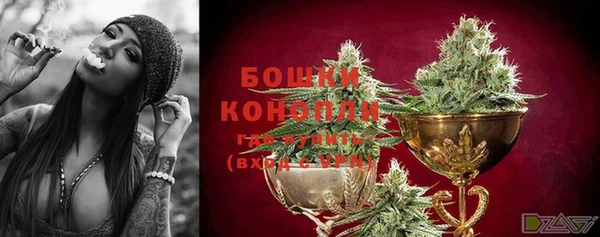 бошки Богородицк