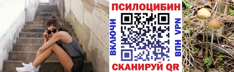 Псилоцибиновые грибы мицелий  Десногорск 